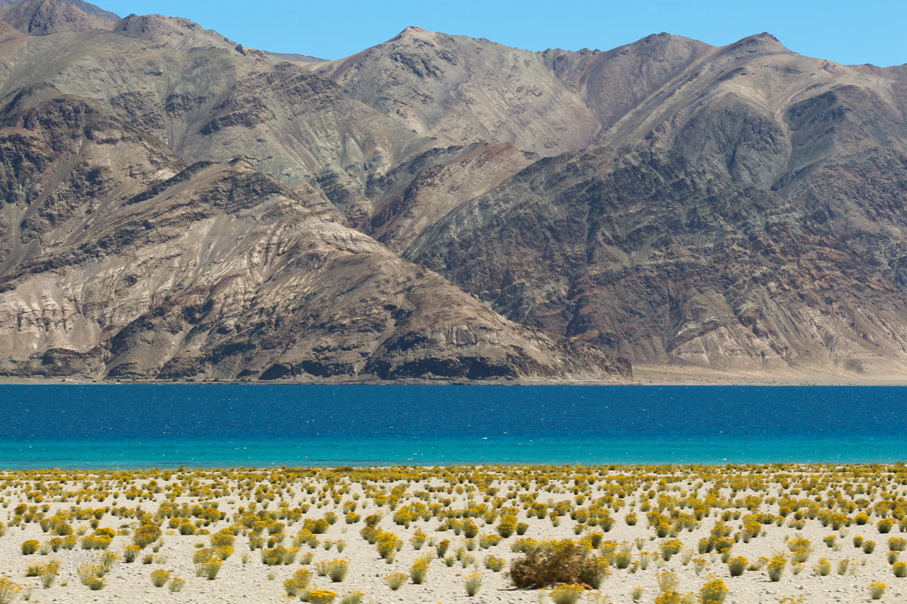 Hồ Pangong Ladakh