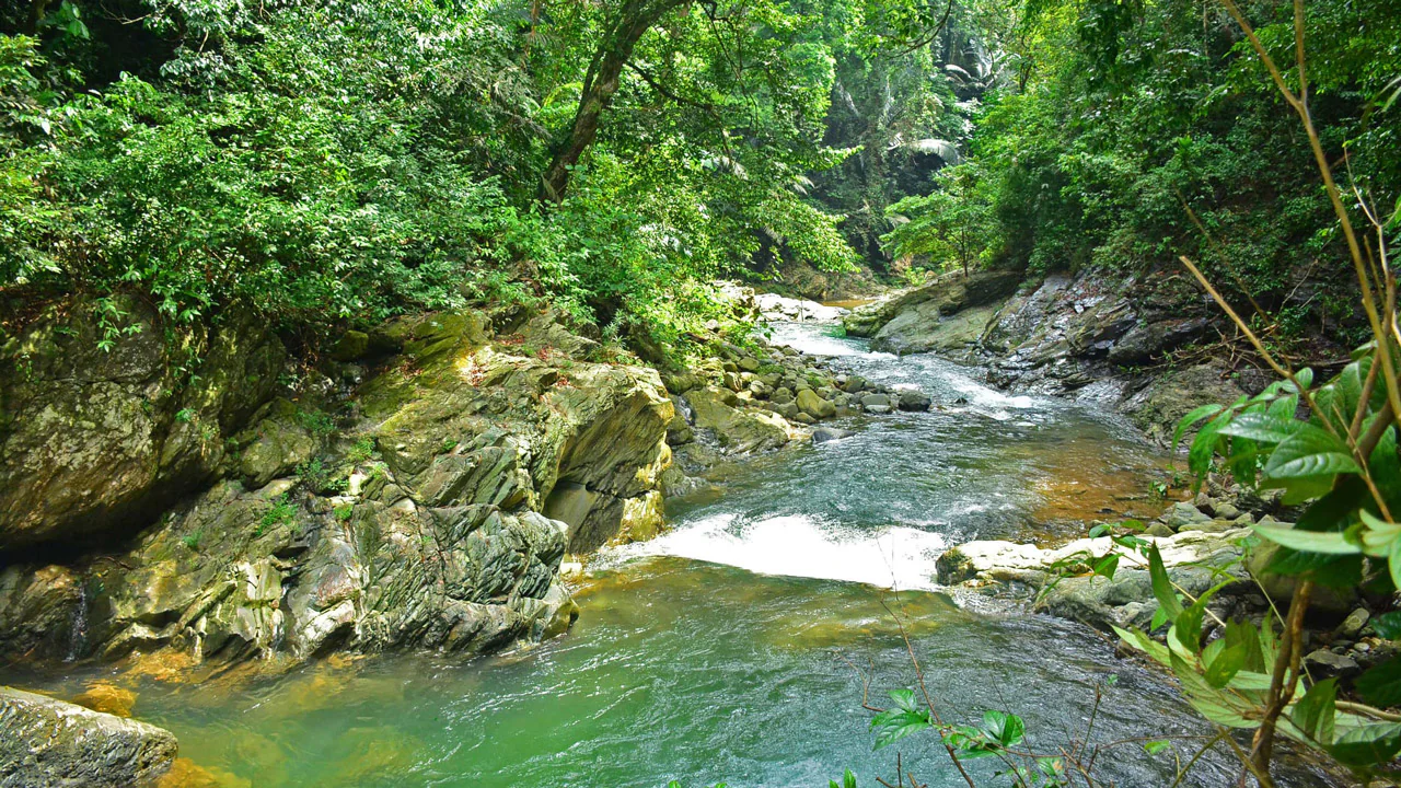 Khu dự trữ thiên nhiên Động Châu – Khe Nước Trong