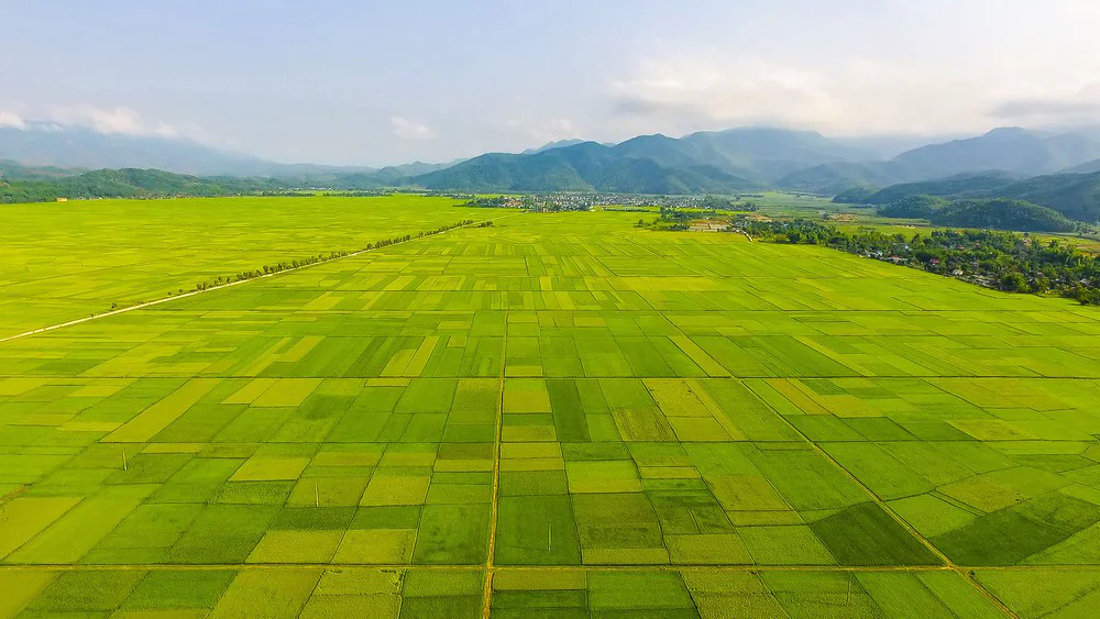 Khung cảnh cánh đồng Mường Thanh – Điện Biên Phủ – nhìn từ trên cao