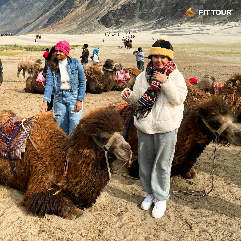 Du khách Việt hào hứng chụp ảnh cùng lạc đà ở Ladakh
