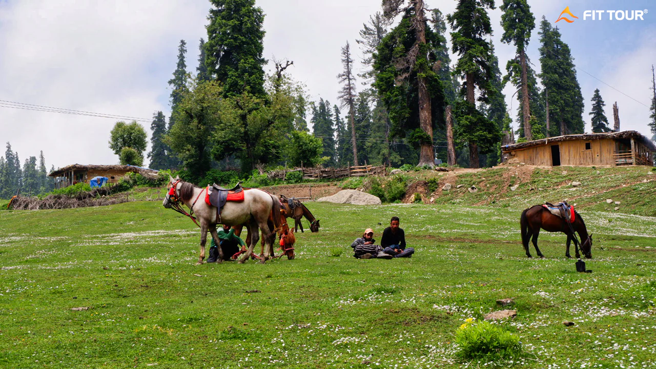 Hướng dẫn du lịch Gulmarg Ấn Độ