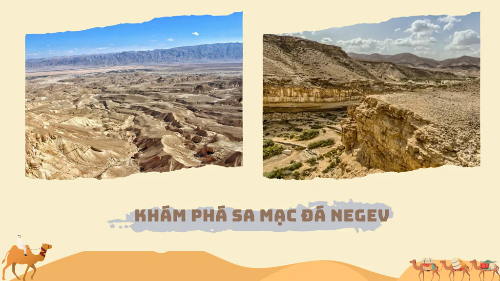 Khám phá sa mạc đá Negeu