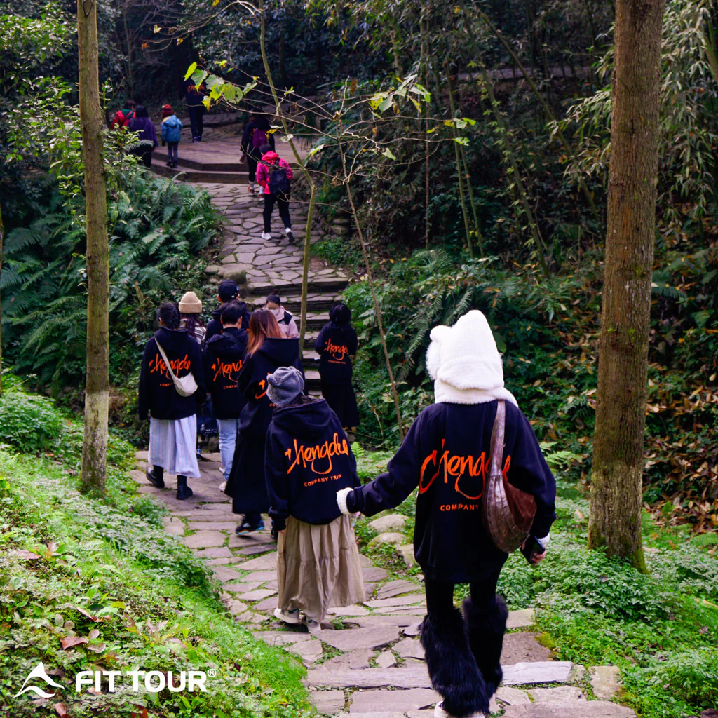 Đoàn company trip Thành Đô tham quan khu bảo tồn Gấu Trúc