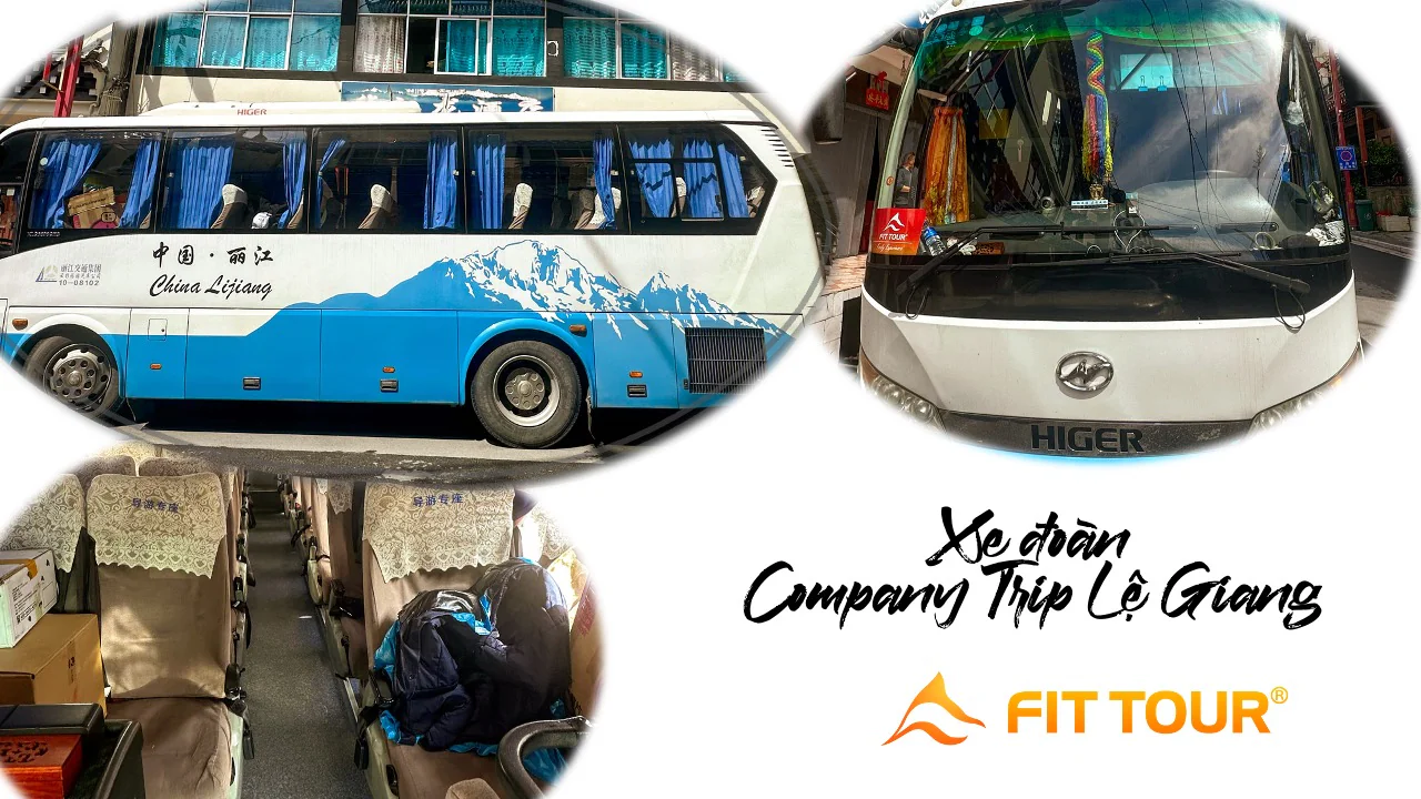 Xe du lịch đời mới cao cấp phục vụ đoàn suốt tuyến tại Lệ Giang