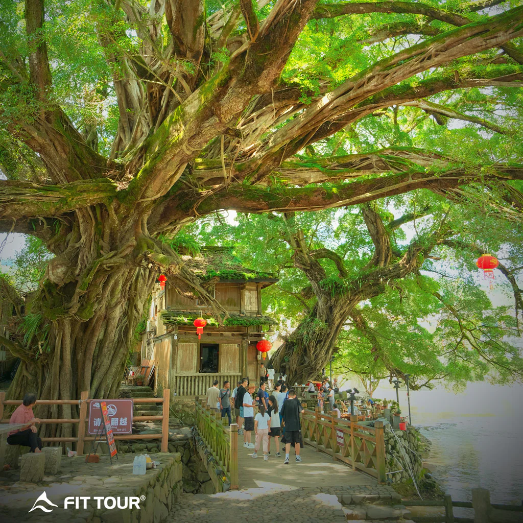 Khung cảnh thanh bình tại một ngôi Thổ Lâu ở Phúc Kiến, nơi lối sống truyền thống và yên bình vẫn được gìn giữ qua nhiều thế hệ