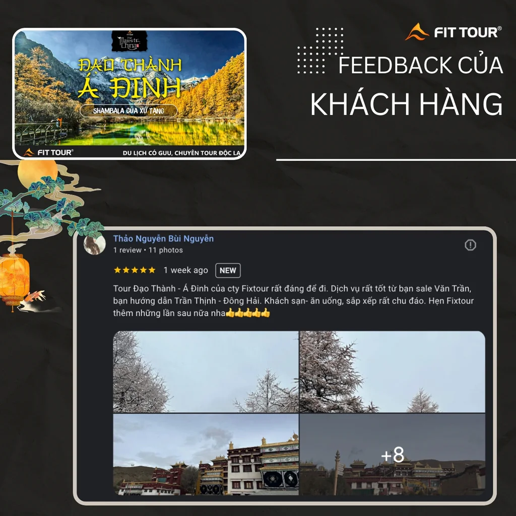 Feedback khách hàng