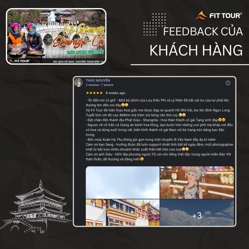 Feedback Thảo Nguyên
