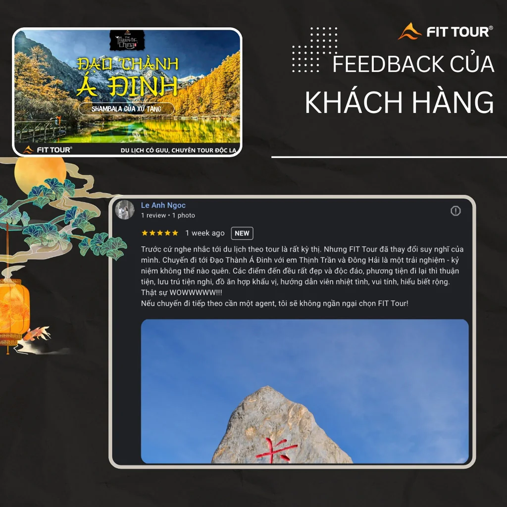 Feedback khách hàng