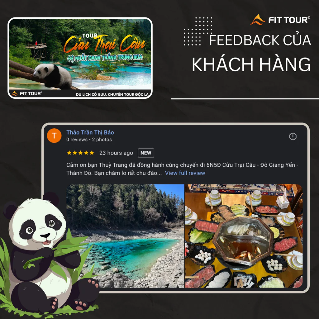 Feedback khách hàng
