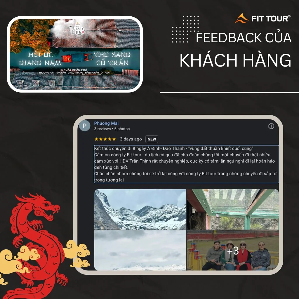 Customer Feedback