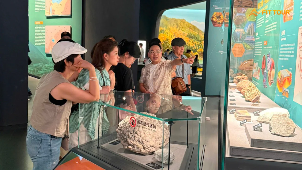 Tổng số tour vận hành