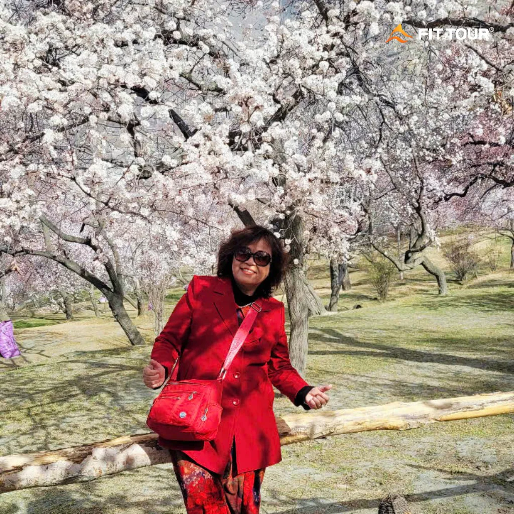 Hoa mơ nở rộ ở Hunza vào mùa xuân ở Pakistan