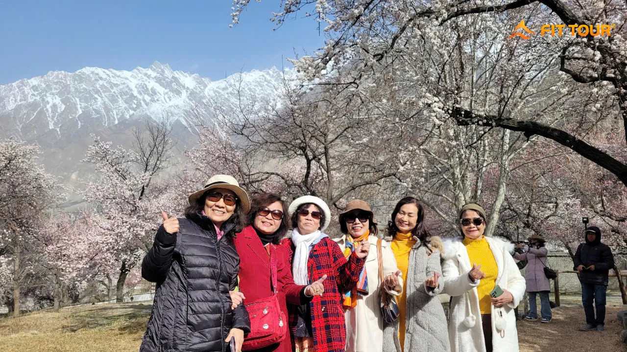 Hoa mơ nợ rộ ở thung lũng Hunza
