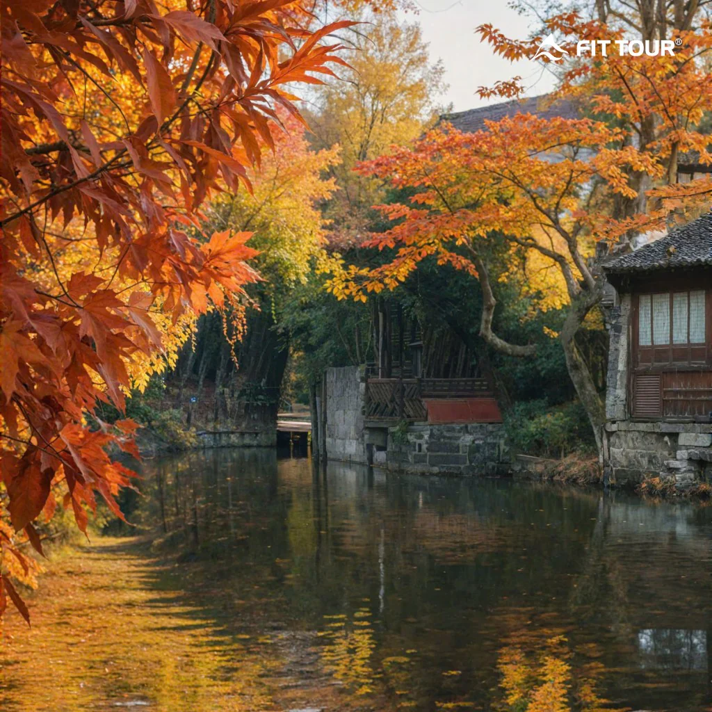 Mùa lá đỏ rực rỡ giữa lòng thủy trấn Ô Trấn