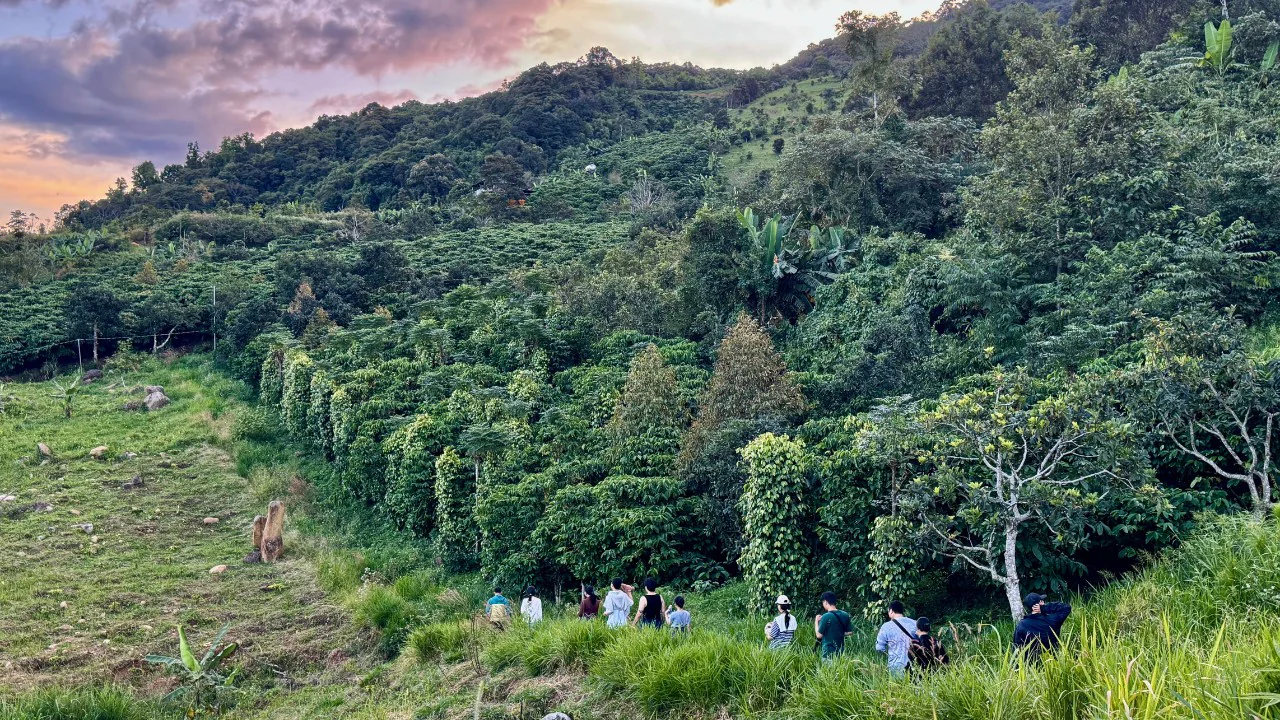 Trekking xuyên đồi cà phê