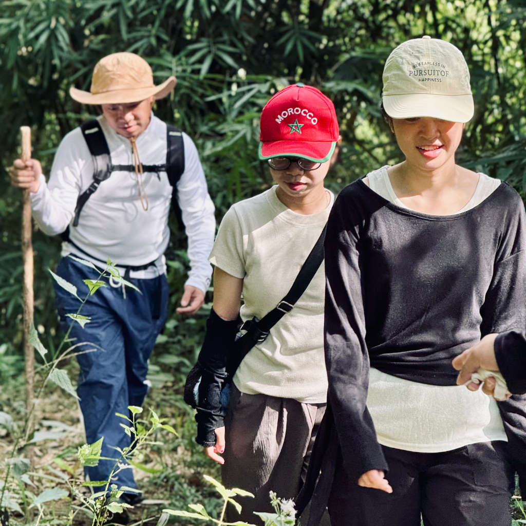 Trekking xuyên rừng tre