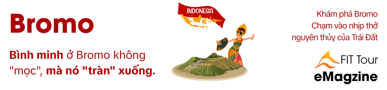 Bromo quote 1