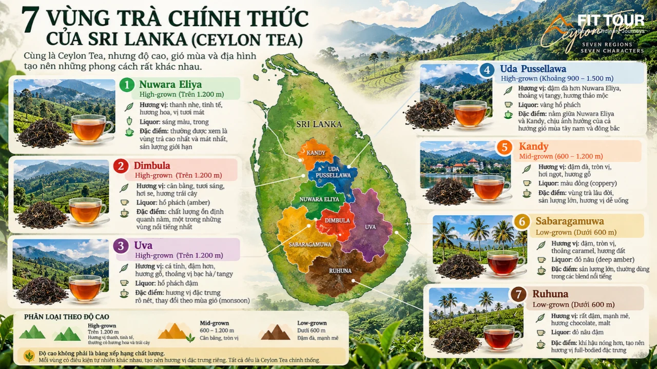 Infographic bản đồ 7 vùng chỉ dẫn địa lý trồng trà chính thức tại Sri Lanka