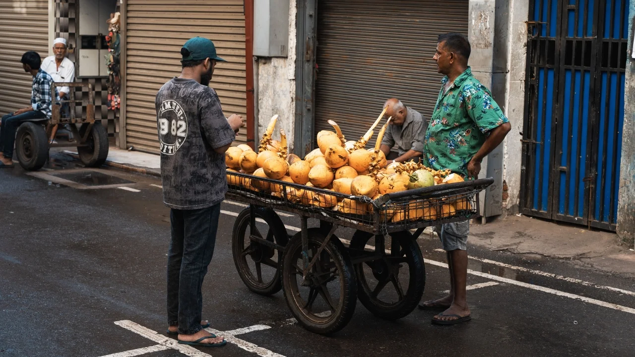 Chuẩn Bị Gì Khi Du Lịch Sri Lanka - Checklist Thực Tế Cho Khách Việt