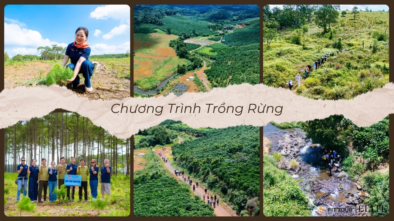Chương trình trồng rừng VietinBank