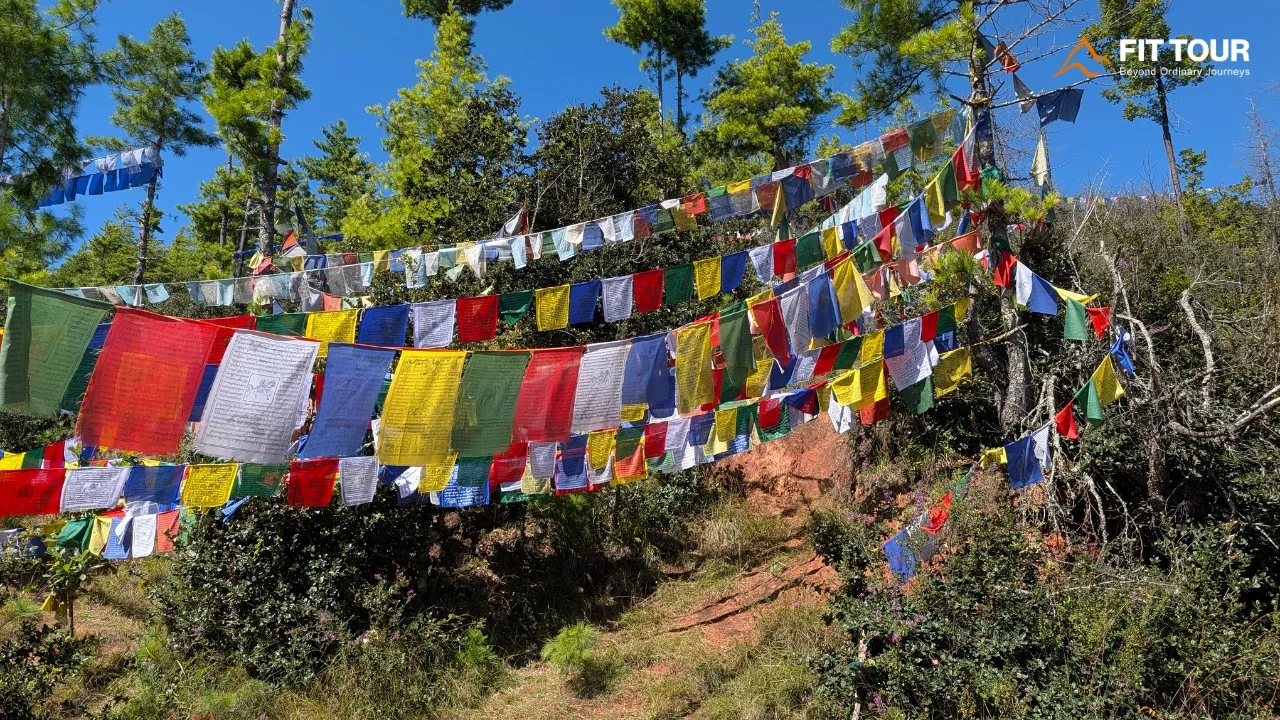 Những dải cờ cầu nguyện Lungta trên đường đi bộ đến Wangditse Lhakhang Bhutan