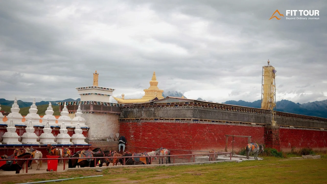 Dãy tháp trắng Chorten uy nghiêm bên đàn ngựa gặm cỏ tại Tháp Công