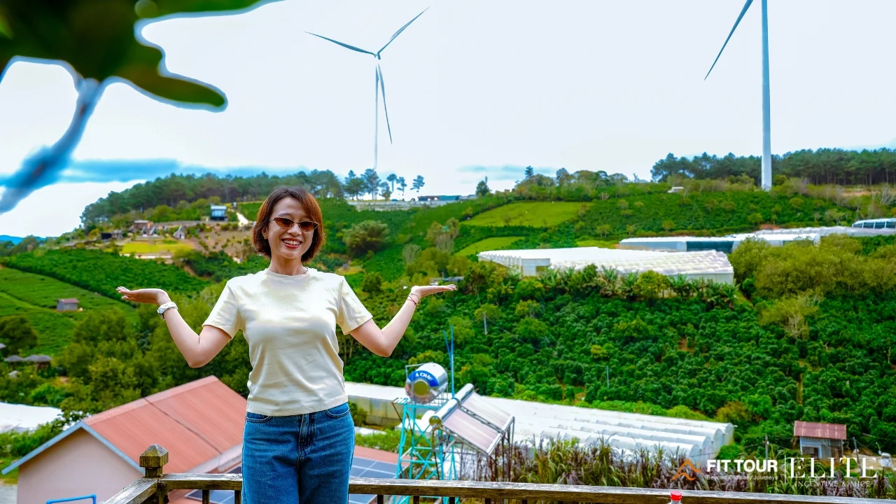 Khoảnh khắc tập thể DIMAC tại đồi chè Cầu Đất
