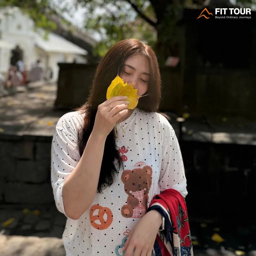 Cội cây bồ đề trên sân đá Chùa Hang Dambulla