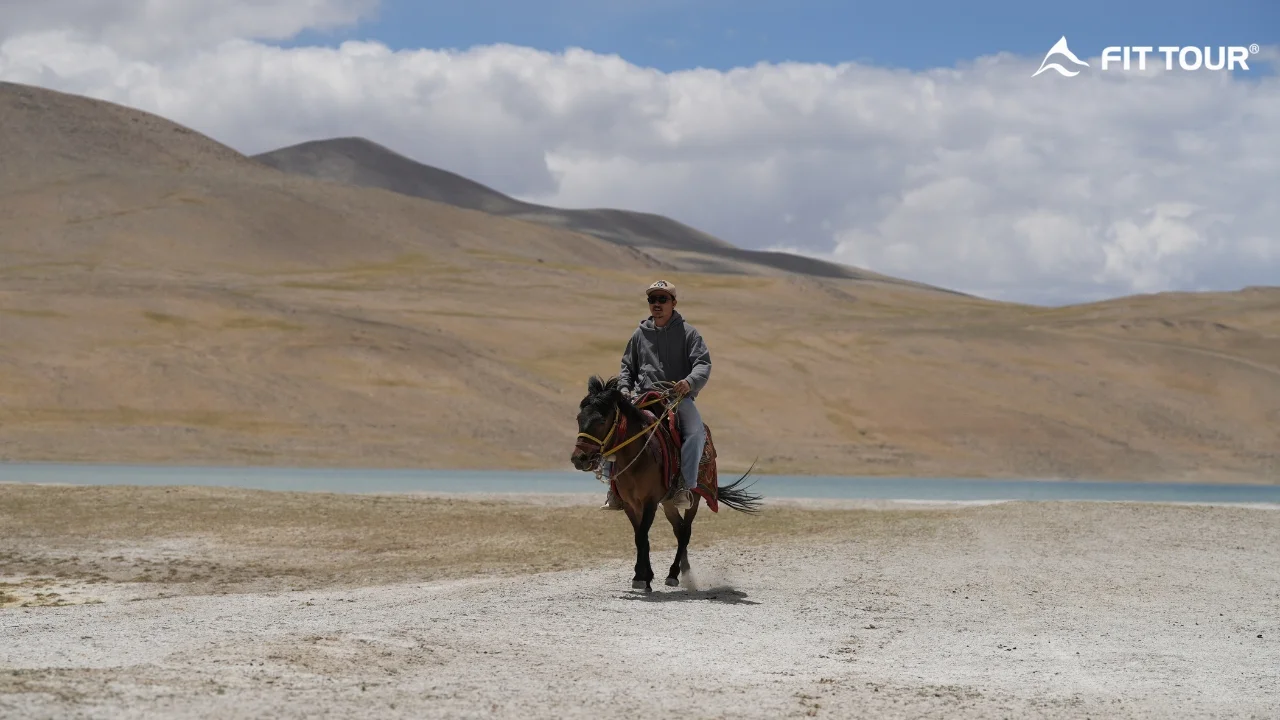 HDV địa phương ở Ladakh Lulu cưỡi ngựa thong dong bên bờ hồ tĩnh lặng tại Ladakh