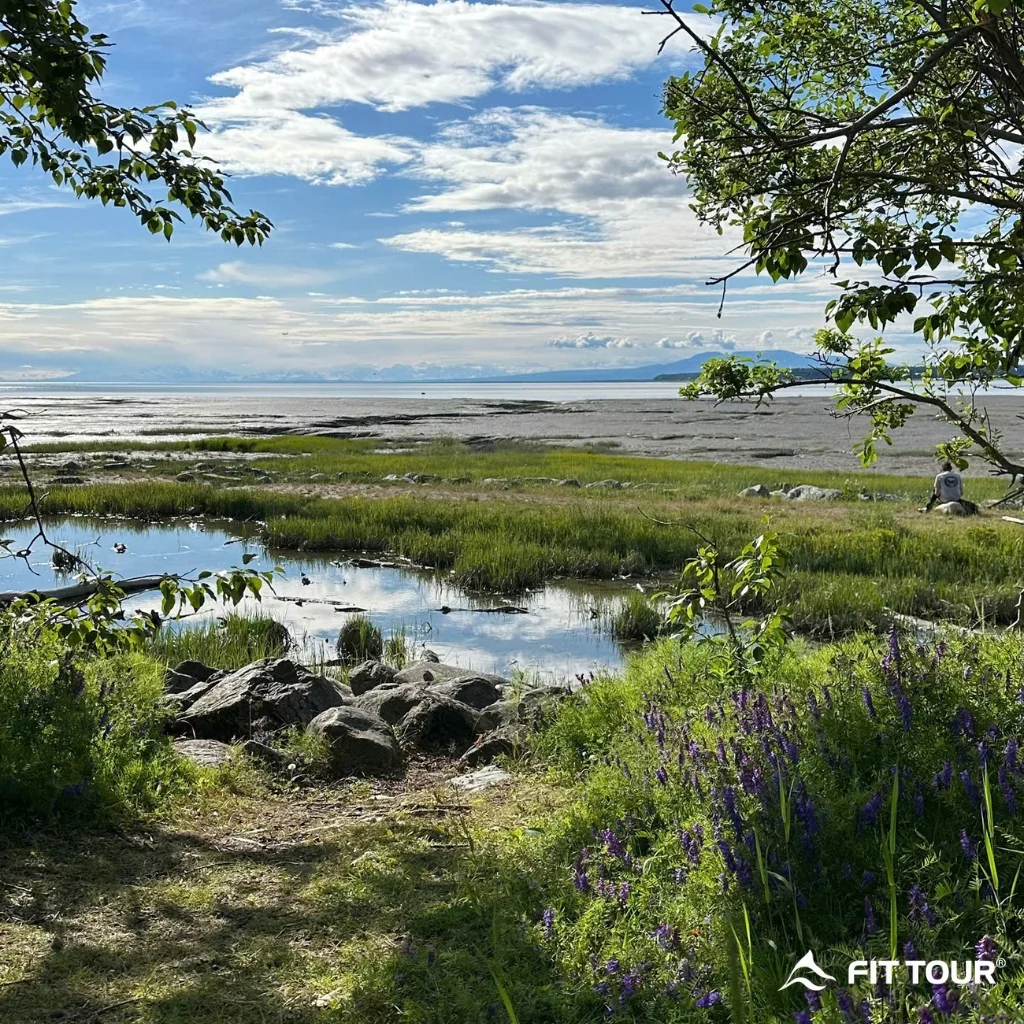 Tony Knowles Coastal Trail