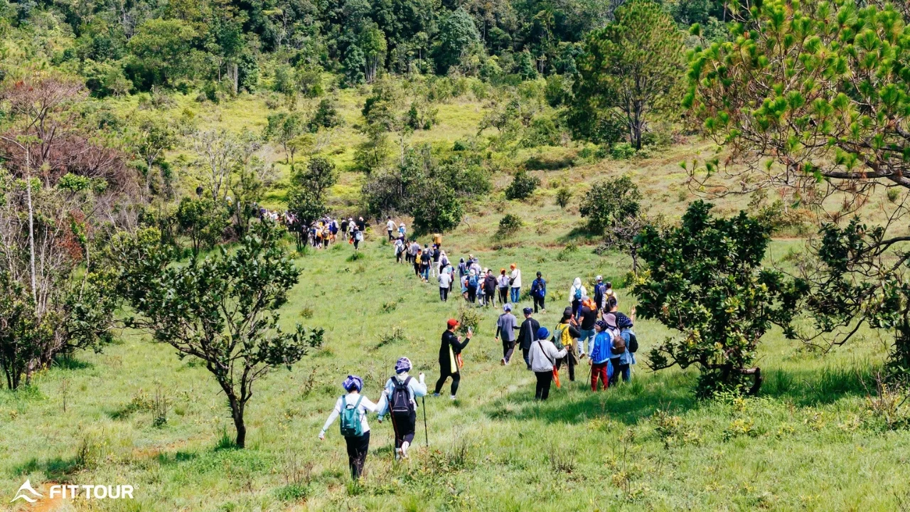 Hành trình trekking thiên nhiên