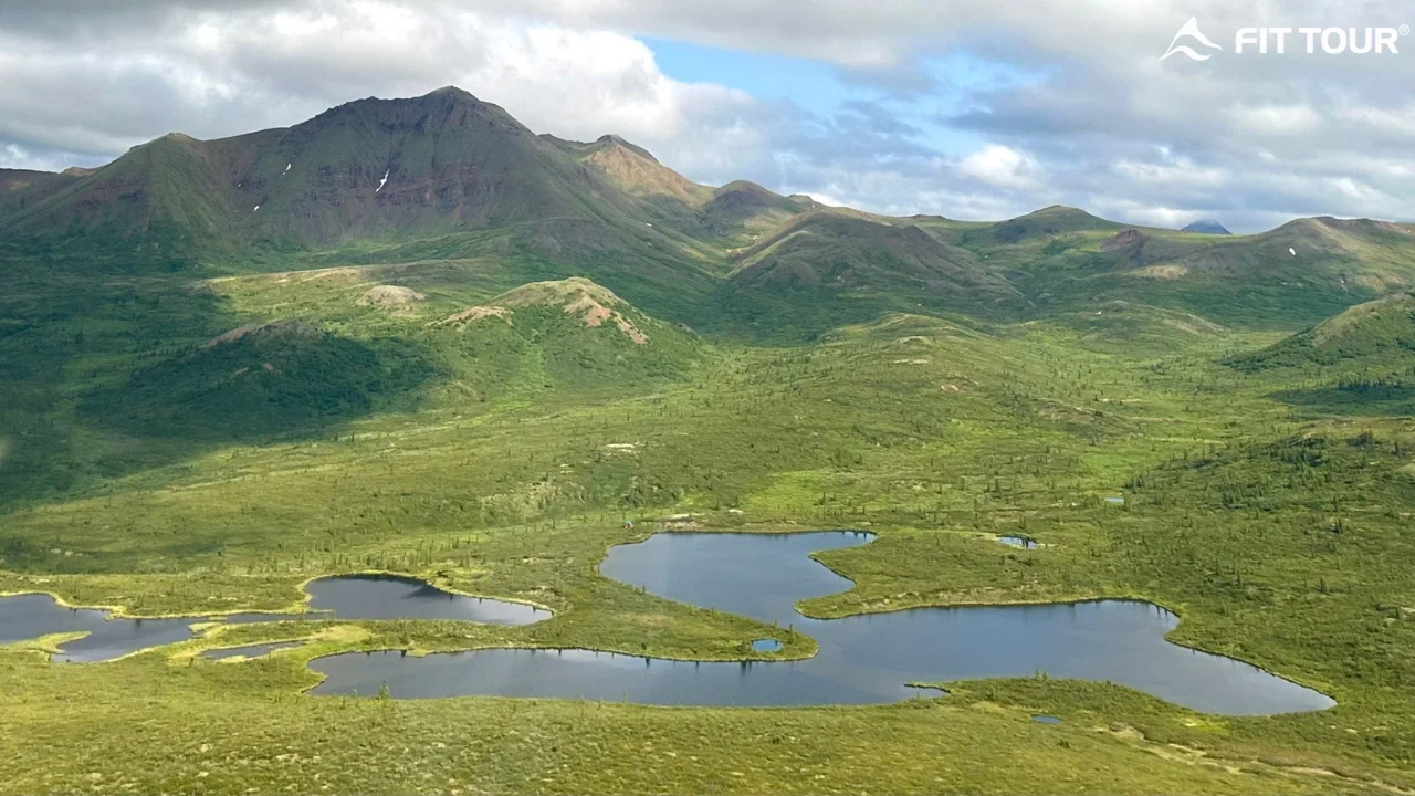Hình ảnh khách hàng FIT TOUR khám phá vùng đất hoang dã Alaska