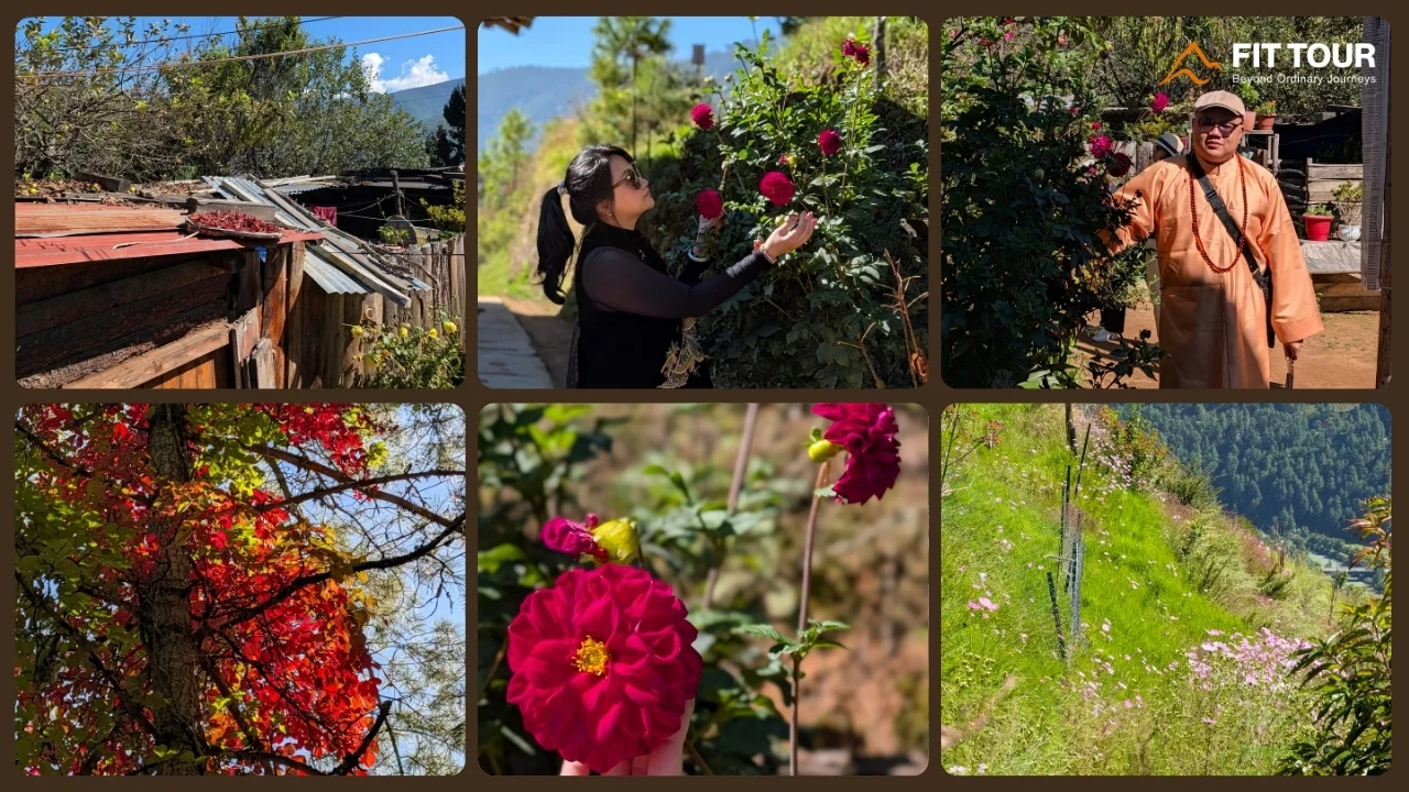 Hoa, cây cỏ và cảnh quan tự nhiên trên sườn núi quanh Wangditse Lhakhang Bhutan