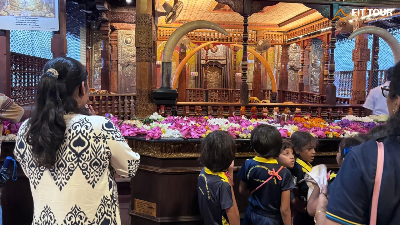 Lễ Hội Esala Perahera Kandy - Đại Lễ Rước Xá Lợi Răng Phật