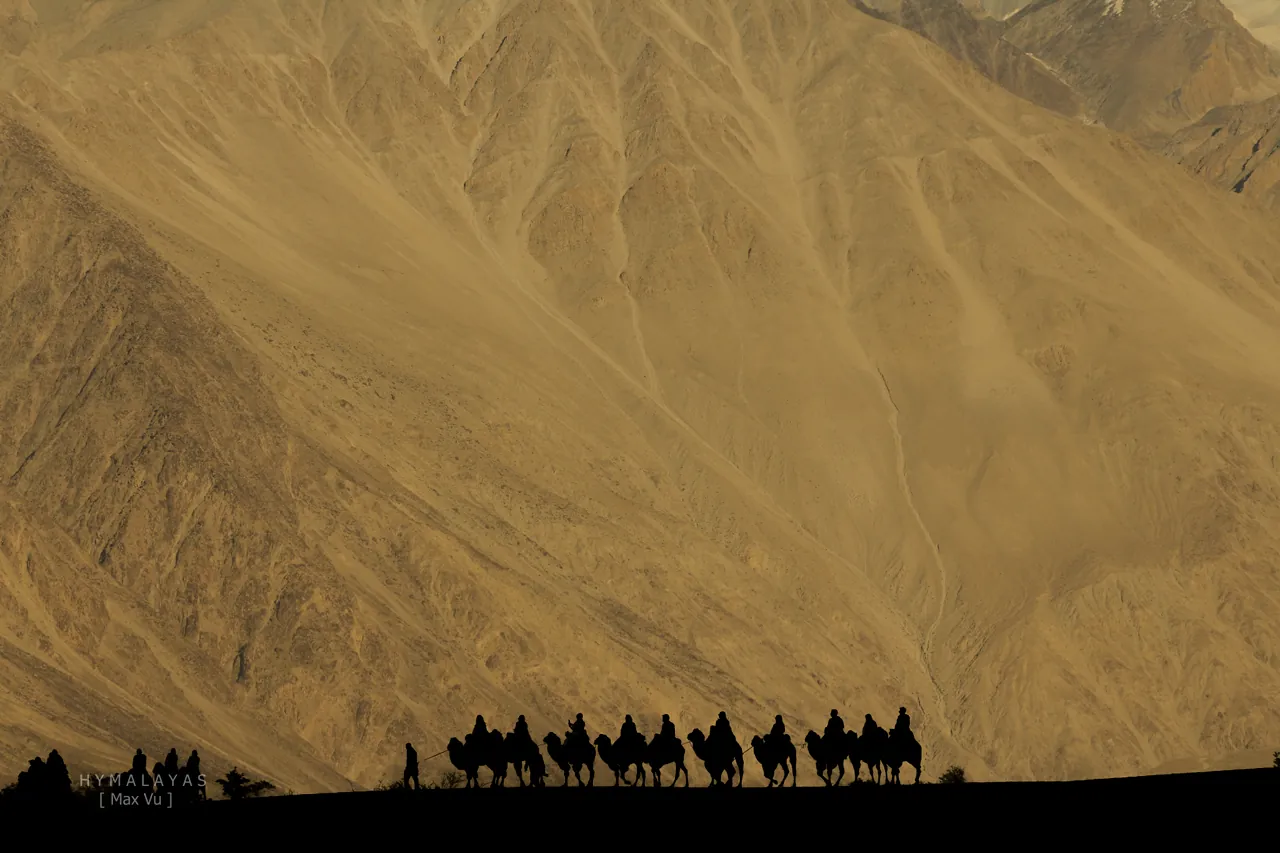 Khám Phá Nubra Valley – Dấu Ấn Của Con Đường Tơ Lụa