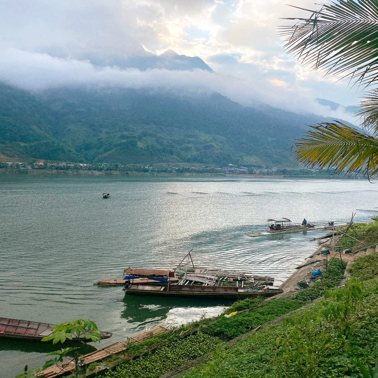 Đào hoa đảo Điện Biên Phủ