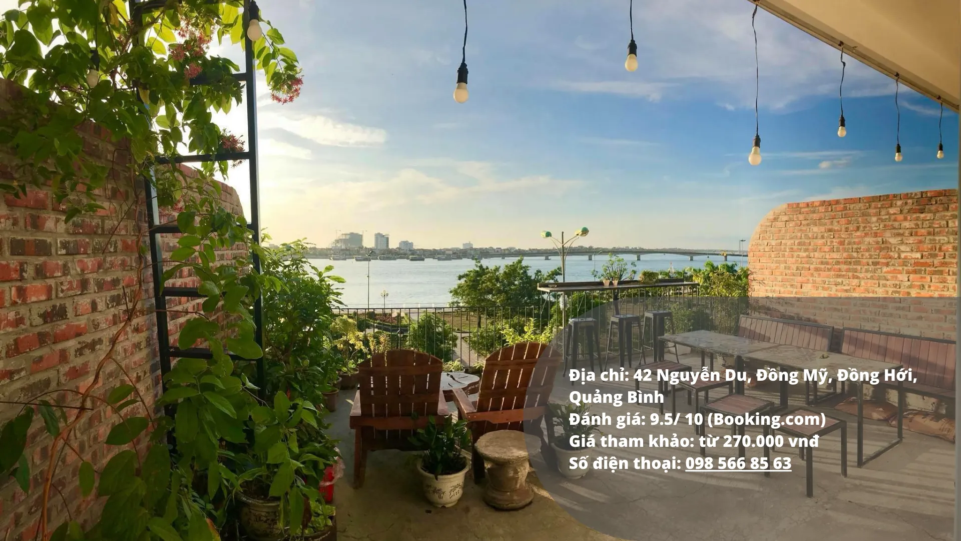 Dolphin homestay