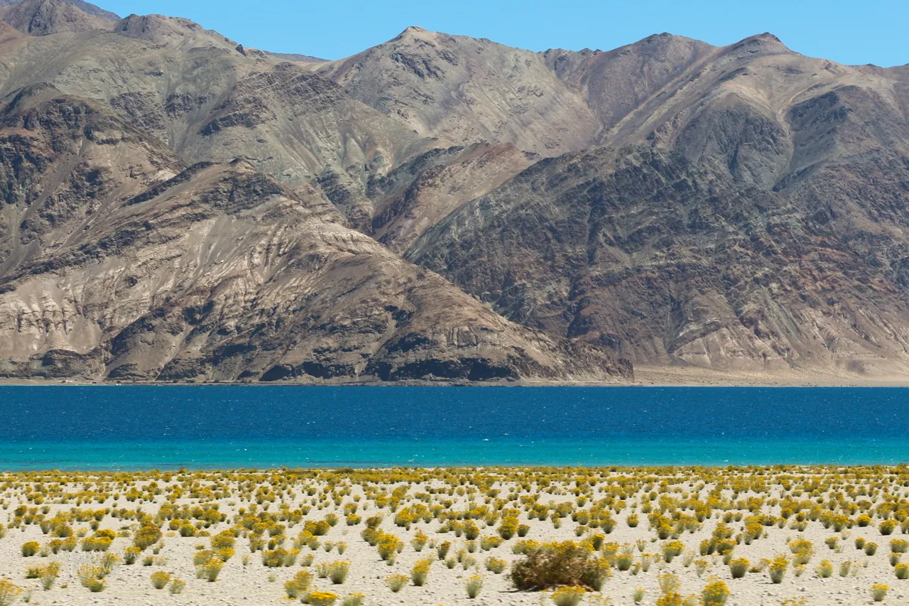 Hồ Pangong Ladakh