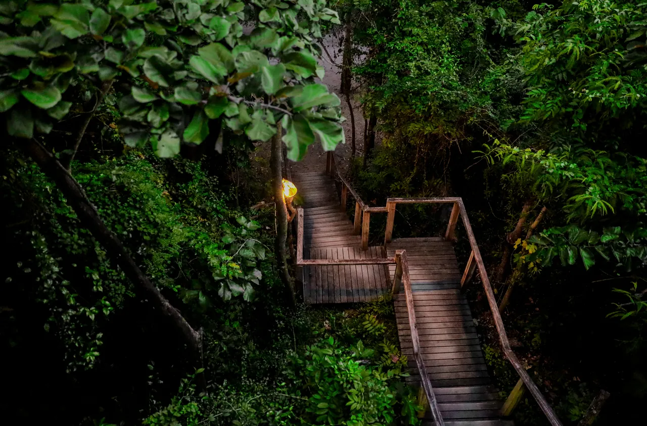 Con đường dẫn lên phòng Hill Rock Villa