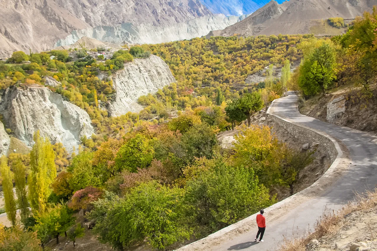 Những cánh rừng trải dài