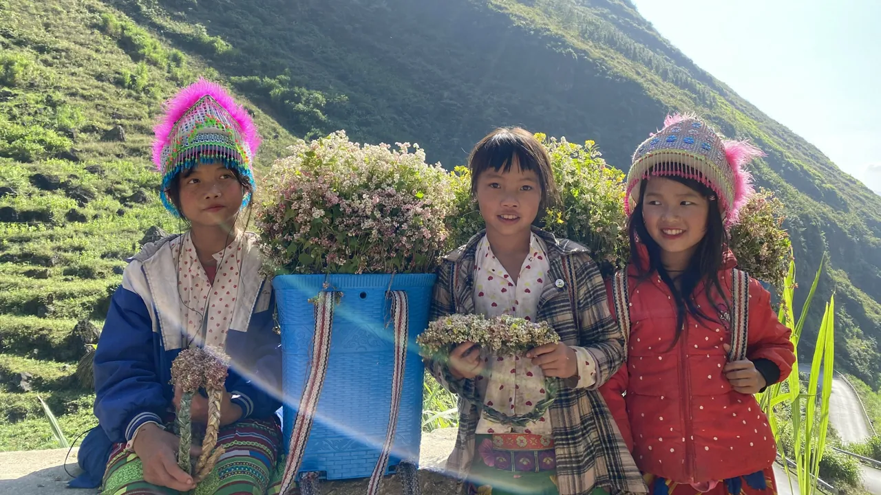 Những đứa trẻ HMông tươi vui với những giỏ hoa tươi