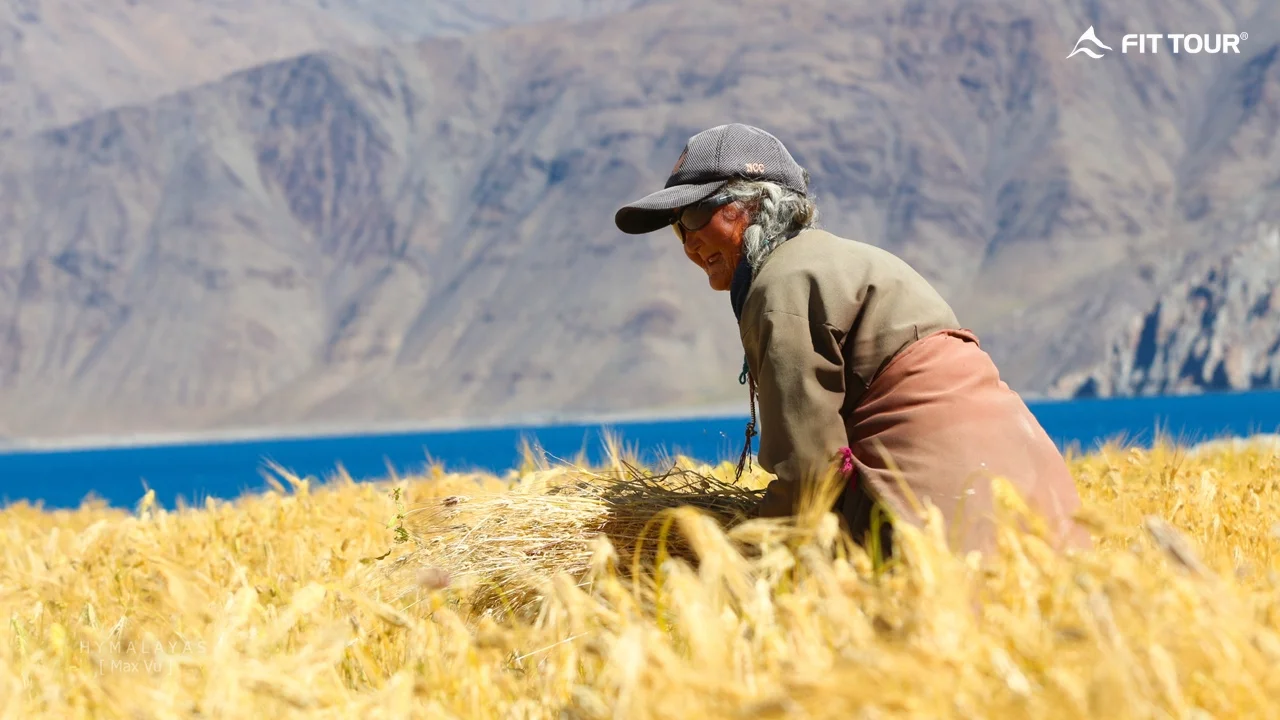 03. LIVING LADAKH