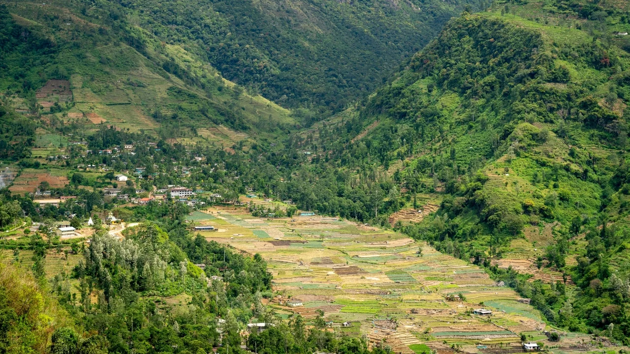 Nuwara Eliya - Thị Trấn Trà Và Little England Của Sri Lanka