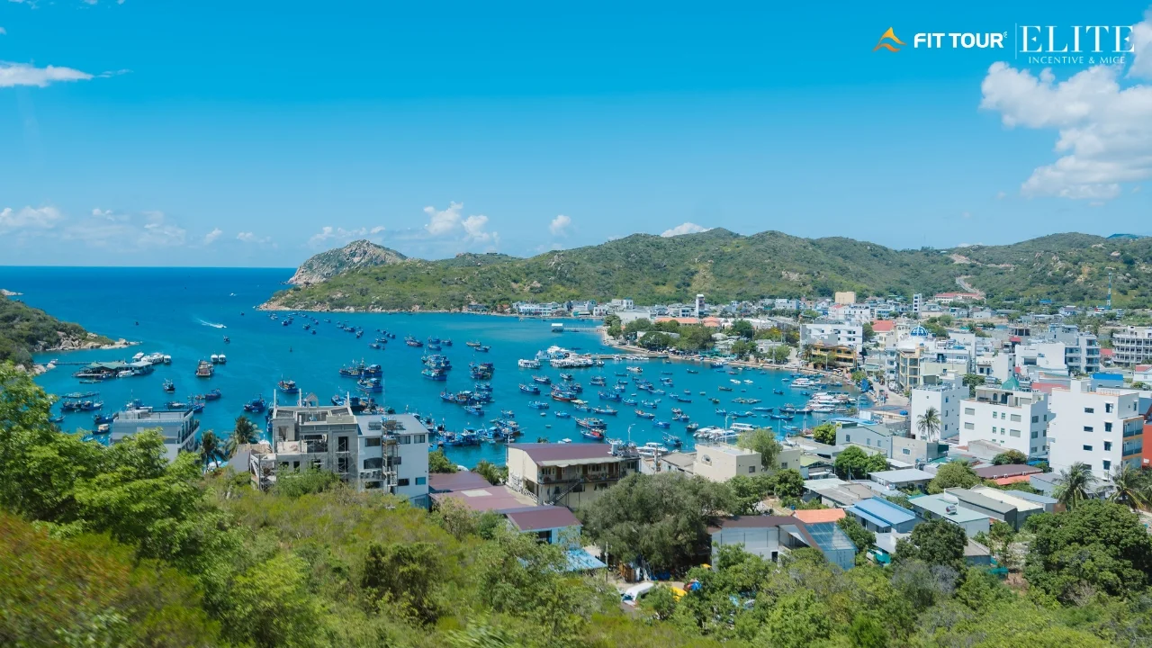 Tổ chức tour doanh nghiệp tại Nha Trang