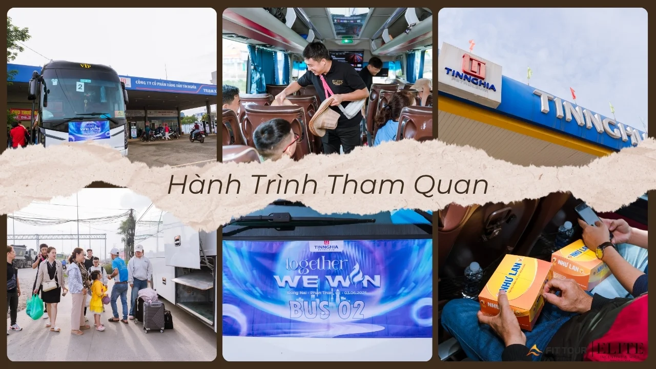 Công tác vận hành và điều phối đoàn CTCP Xăng Dầu Tín Nghĩa chuyên nghiệp