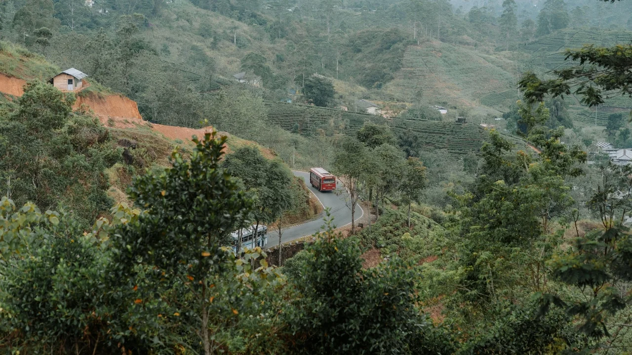 Vì Sao Sri Lanka Có Hai Mùa Gió Mùa? Giải Thích Yala, Maha Và Khí Hậu