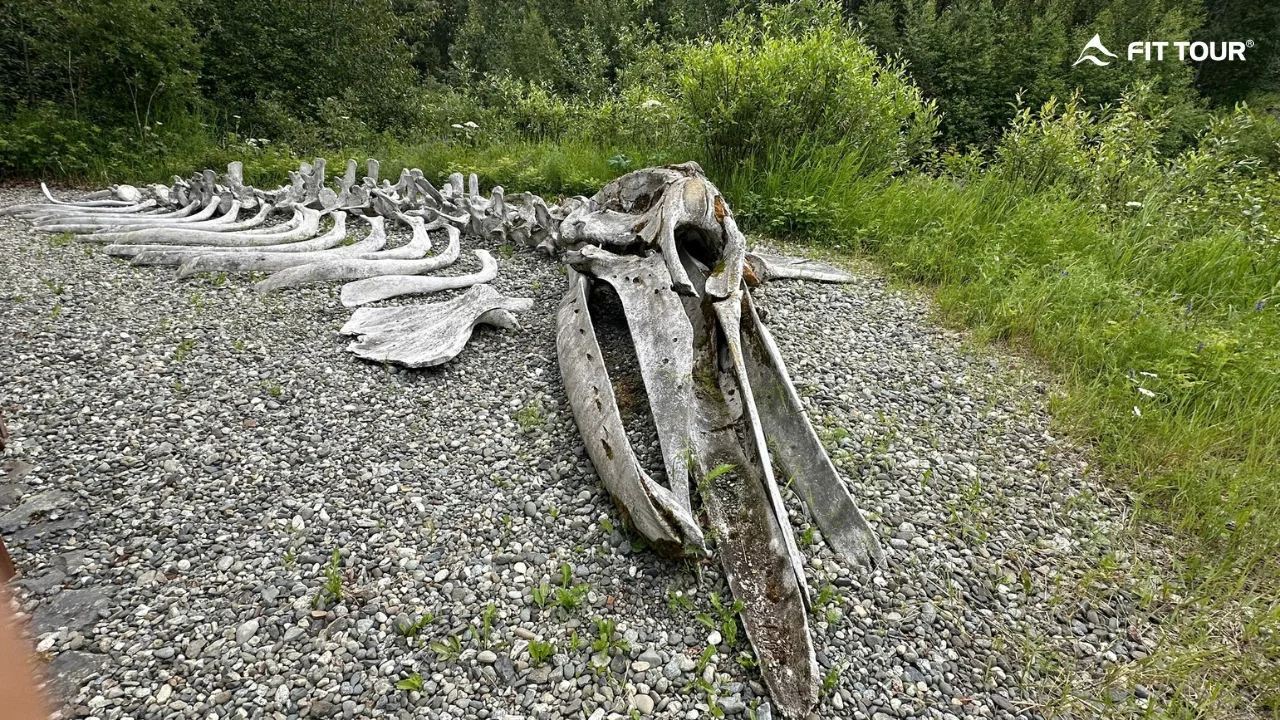 Khám phá di sản bản địa Alaska