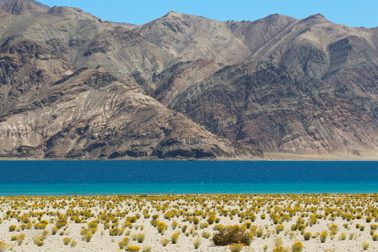 Hồ Pangong Ladakh