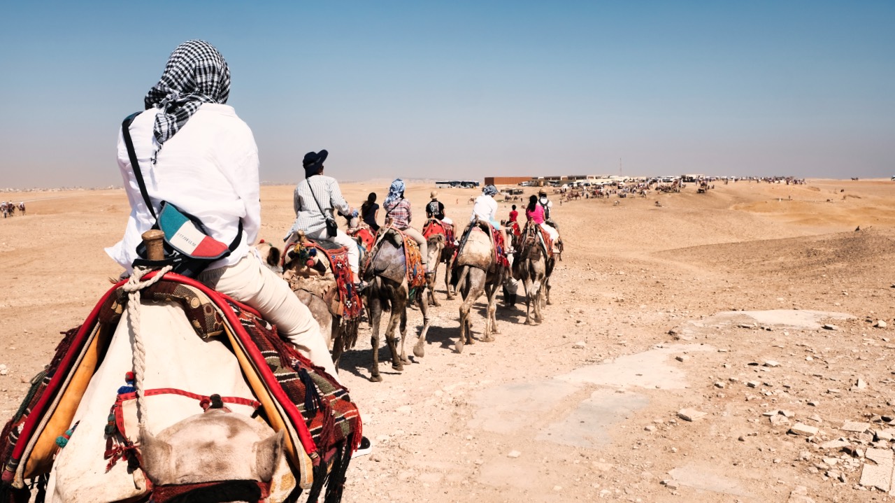 Đoàn khách cưỡi lạc đà băng qua sa mạc Sahara Ai Cập