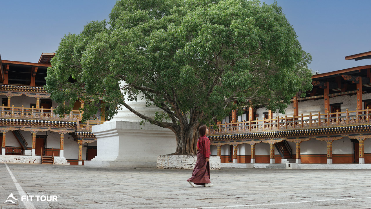 Du khách dạo bên trong khuôn viên tu viện Punakha Dzong